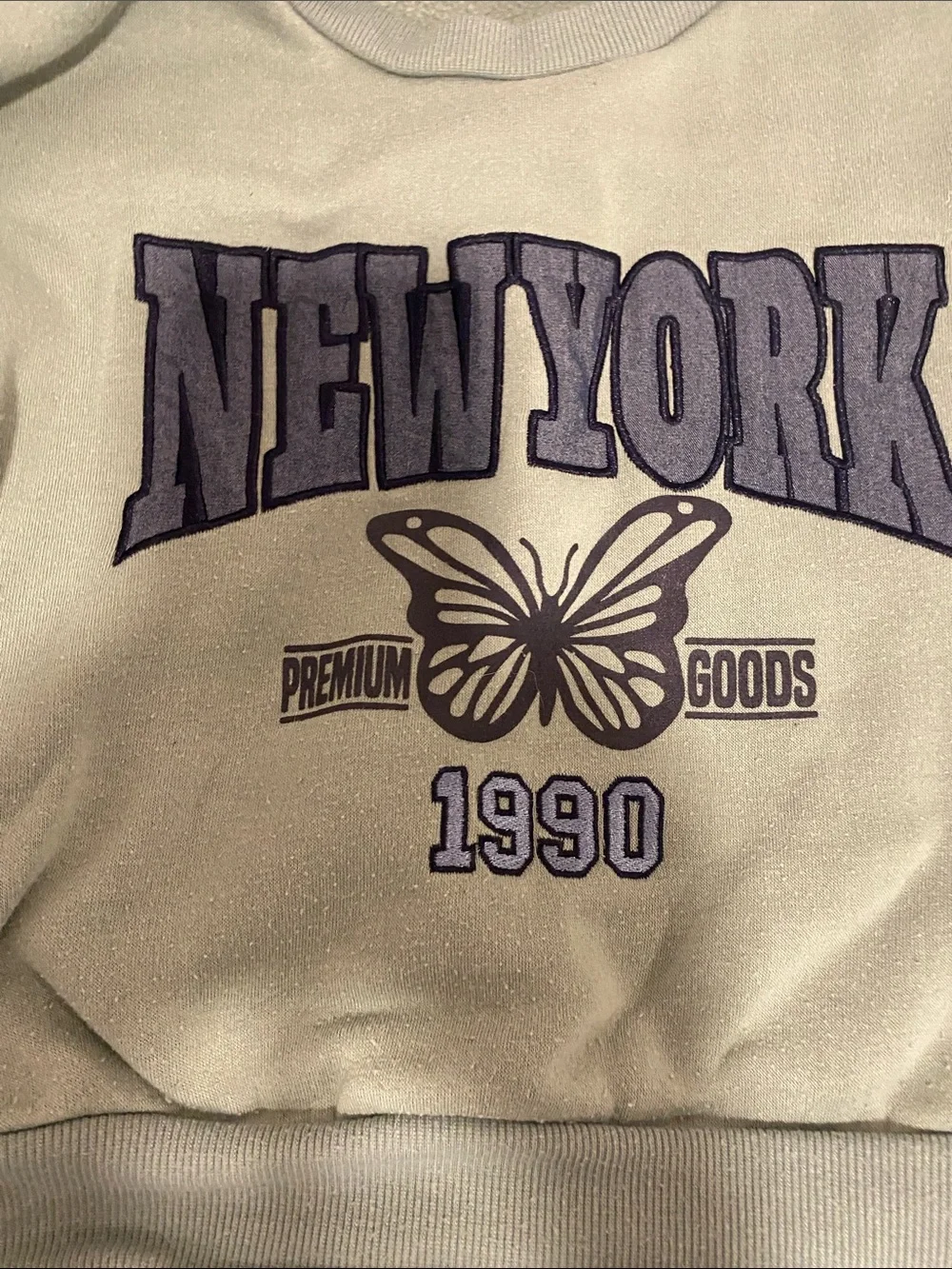 This is a set you get, Old Navy Blue kids Skinny Jeans $ a New York butterfly sw